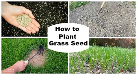 How much grass seed do i need. Things To Know About How much grass seed do i need. 